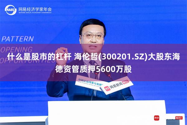 什么是股市的杠杆 海伦哲(300201.SZ)大股东海徳资管质押5600万股