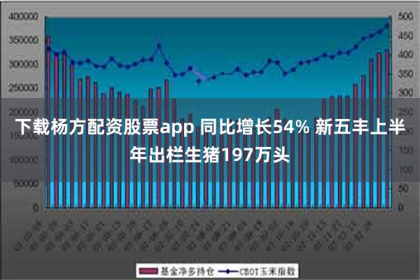 下载杨方配资股票app 同比增长54% 新五丰上半年出栏生猪197万头