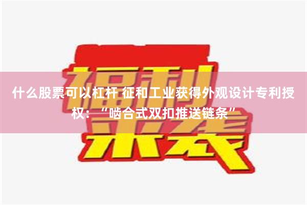 什么股票可以杠杆 征和工业获得外观设计专利授权：“啮合式双扣推送链条”