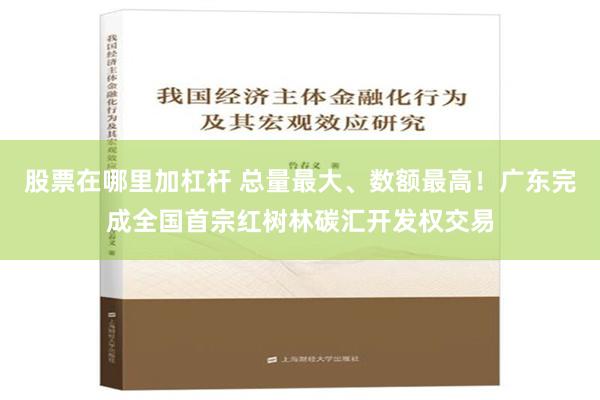 股票在哪里加杠杆 总量最大、数额最高！广东完成全国首宗红树林碳汇开发权交易