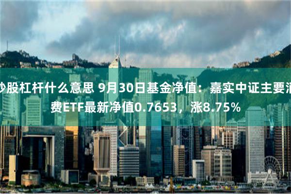 炒股杠杆什么意思 9月30日基金净值：嘉实中证主要消费ETF最新净值0.7653，涨8.75%