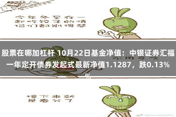 股票在哪加杠杆 10月22日基金净值：中银证券汇福一年定开债券发起式最新净值1.1287，跌0.13%