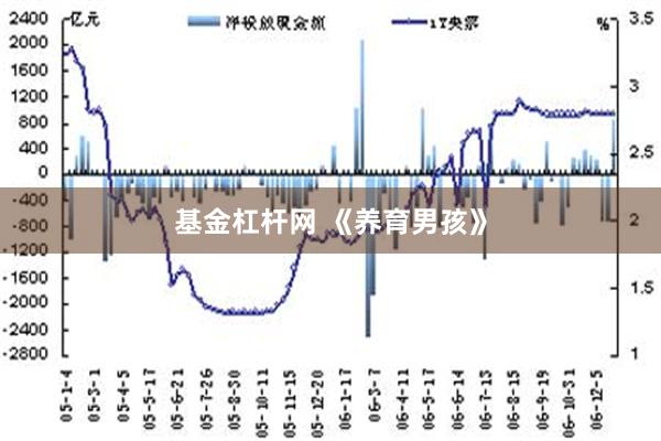 基金杠杆网 《养育男孩》