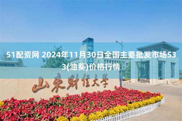 51配资网 2024年11月30日全国主要批发市场S33(油葵)价格行情