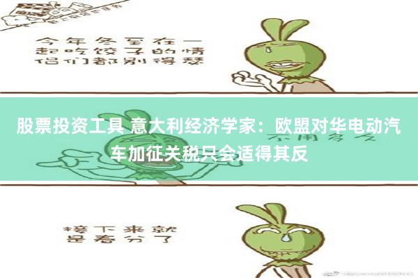 股票投资工具 意大利经济学家：欧盟对华电动汽车加征关税只会适得其反