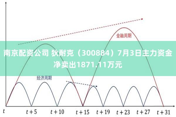南京配资公司 狄耐克（300884）7月3日主力资金净卖出1871.11万元