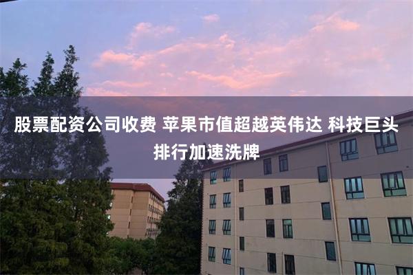 股票配资公司收费 苹果市值超越英伟达 科技巨头排行加速洗牌